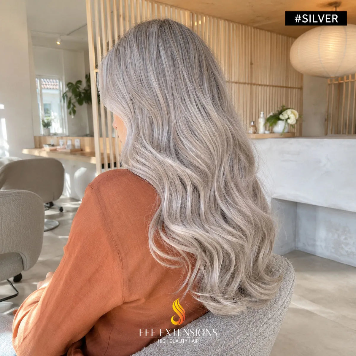 Colour #SILVER – Dans les cheveux